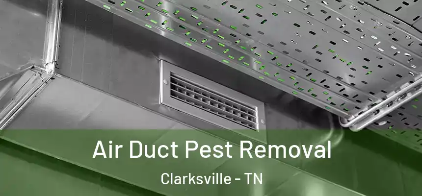 Air Duct Pest Removal Clarksville - TN