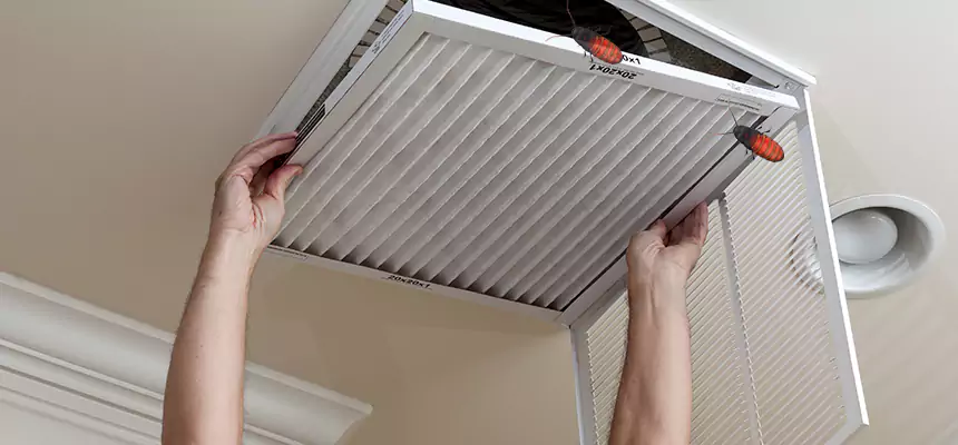 Preventive Cockroach-Proofing for Ducts in Clarksville