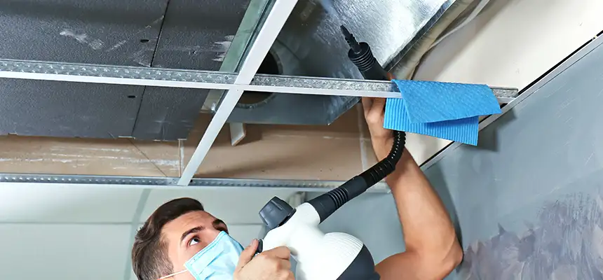 Our Air Duct Rodent Removal Services in Clarksville, TN