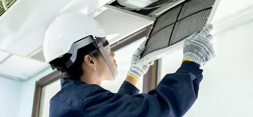 Our Mold & Mildew Removal from Air Ducts Services in Clarksville, TN