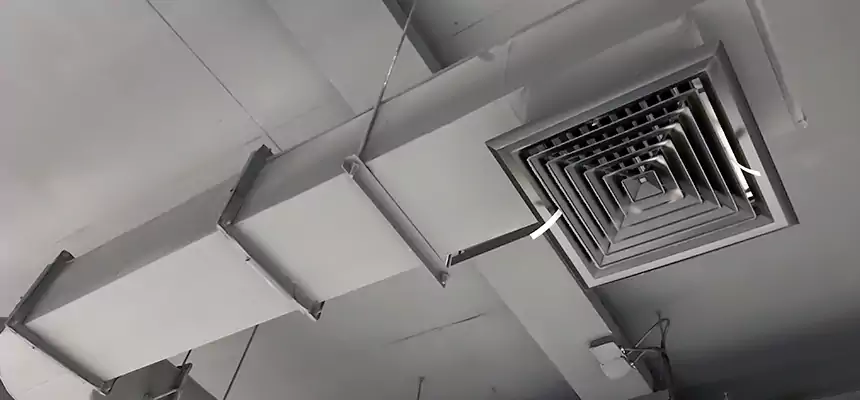 Our Pest Removal From Ducts Services in Clarksville, TN