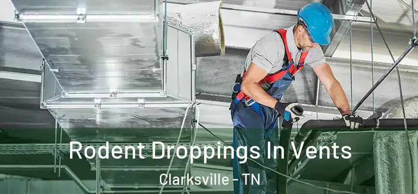  Rodent Droppings In Vents Clarksville - TN