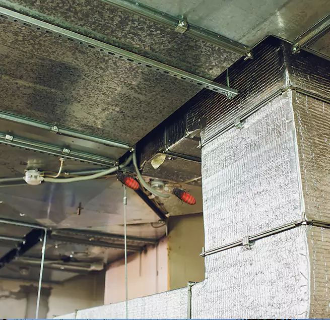 Why Homeowners & Businesses Trust Us in Clarksville, TN?