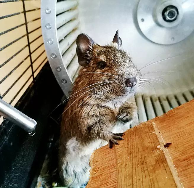 Why Homeowners & Businesses Trust Us Clarksville, TN