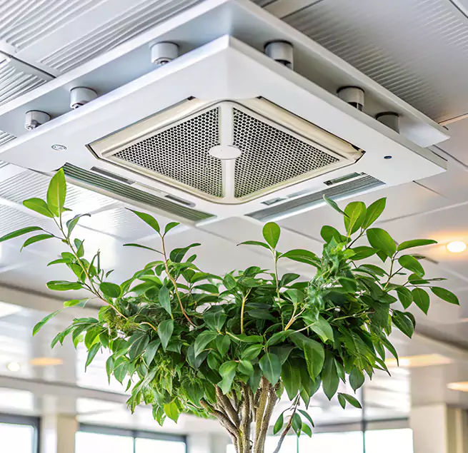 Why Homeowners & Businesses Trust Us in Clarksville, TN