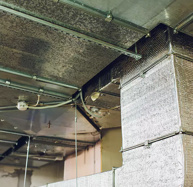 Why Homeowners & Businesses Trust Us in Clarksville, TN?